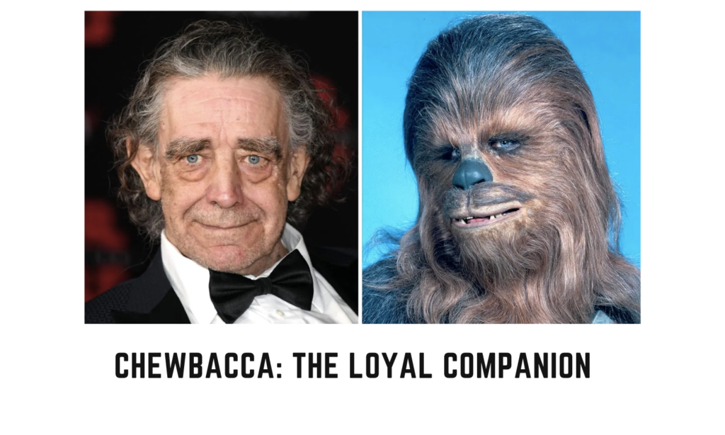 Chewbacca: The Loyal Companion